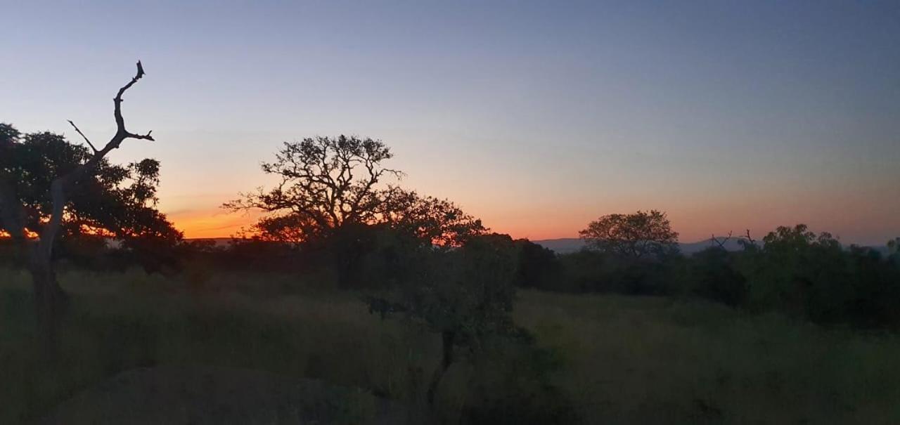 Umziki